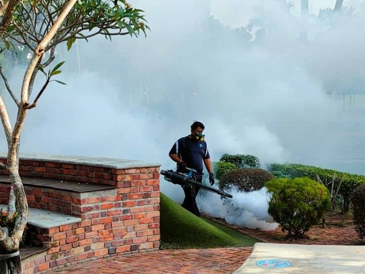 Mosquitoes PEST Control