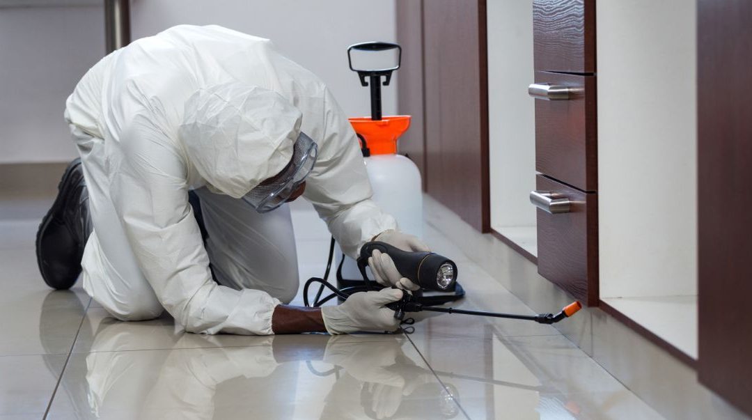 Important of Post-Construction Anti-termite Treatment